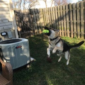 Meet your Posher, Nina